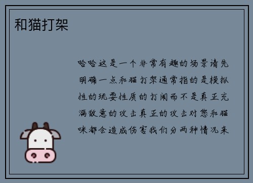 和猫打架